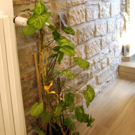 Il Casale Del Borgo Bed & Breakfast Cancellara ภายนอก รูปภาพ